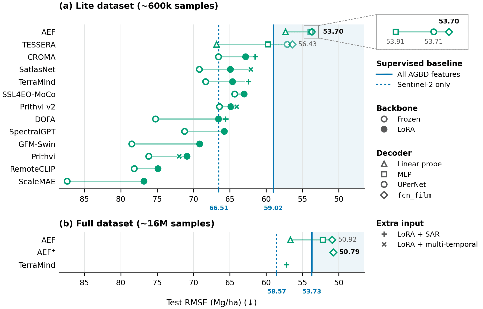 Test RMSE of all GFMs and baselines on AGBD Lite and AGBD Full