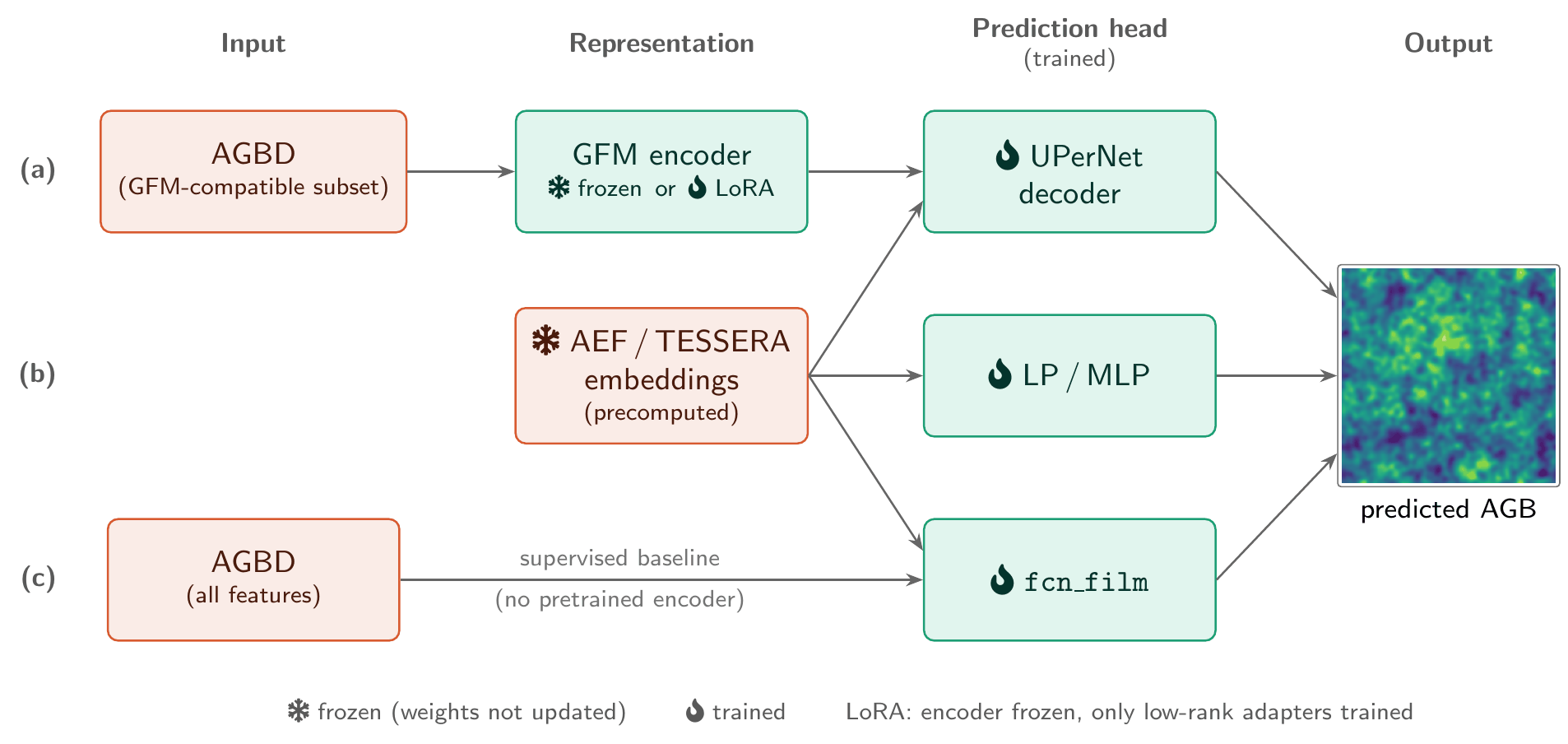 Biomass estimation framework: GFM encoders with a UPerNet head, pre-computed AEF and TESSERA embeddings with lighter heads, and a supervised baseline